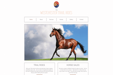 Westchester Trail Rides Website